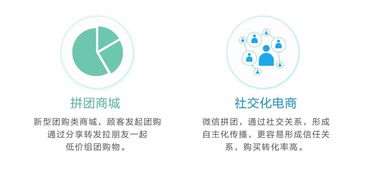 突發(fā)重大政策信號 未來經濟布局將迎大規(guī)模調整，信息咨詢服務迎來新機遇